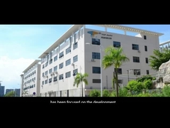 Tự động hàng đầu